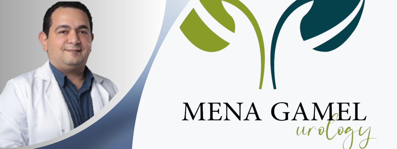 الصفحة الرئيسية